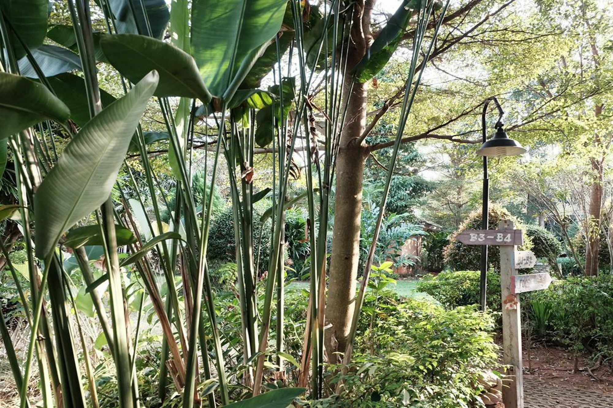 Khao Yai Cottage Mu Si Bagian luar foto
